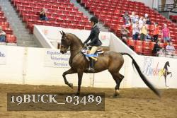 19BUCK_03489 proof