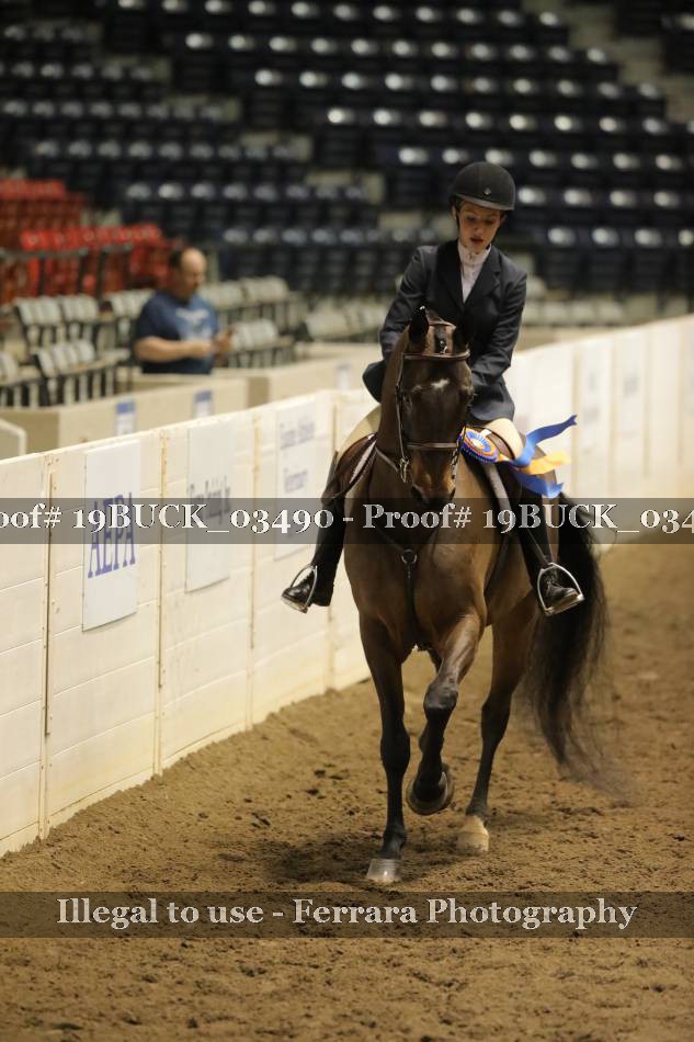 Proof 19BUCK_03490