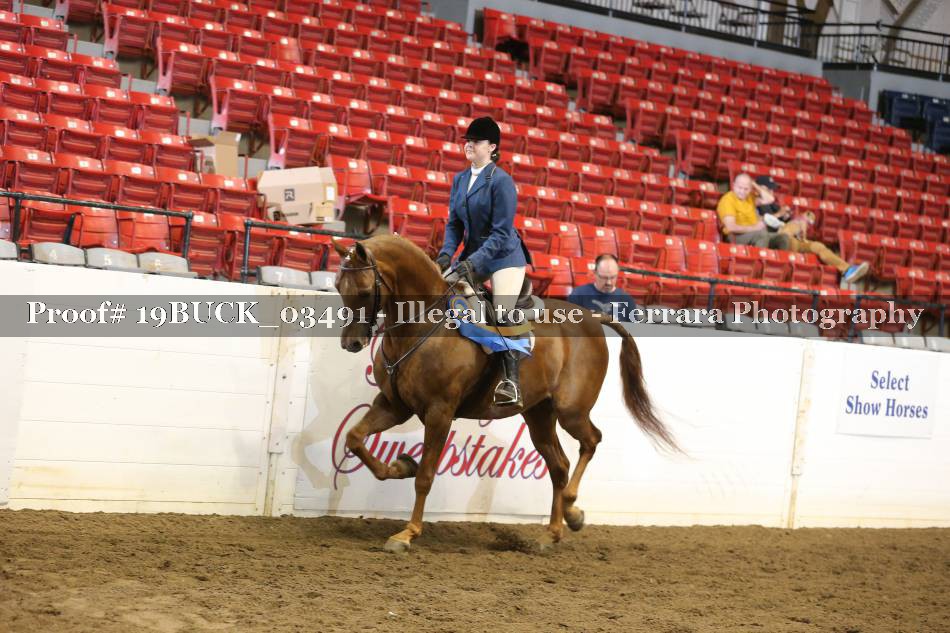 Proof 19BUCK_03491