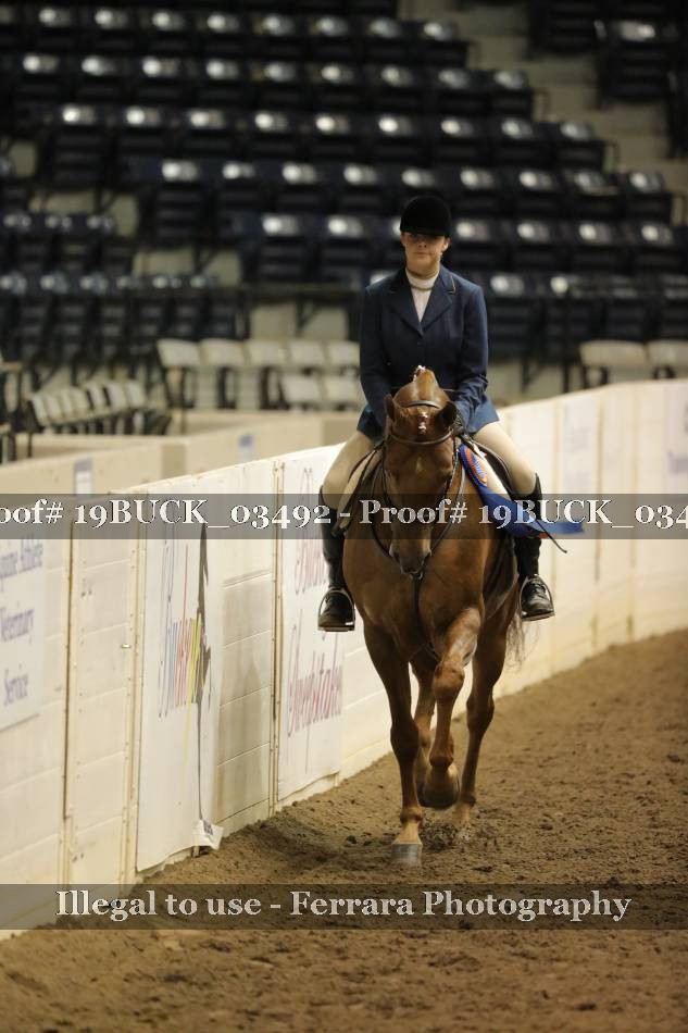 Proof 19BUCK_03492