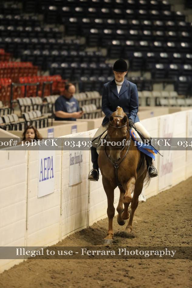 Proof 19BUCK_03493