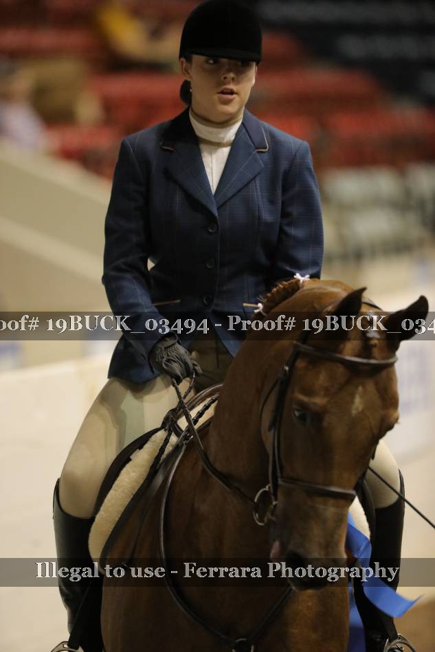 Proof 19BUCK_03494