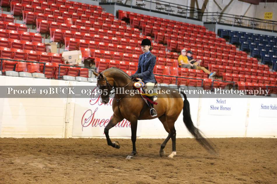 Proof 19BUCK_03495