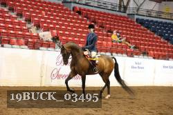 19BUCK_03495 proof