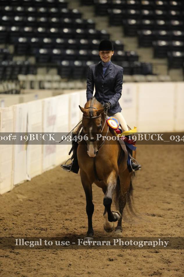 Proof 19BUCK_03496