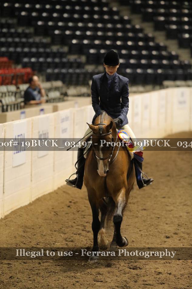 Proof 19BUCK_03497