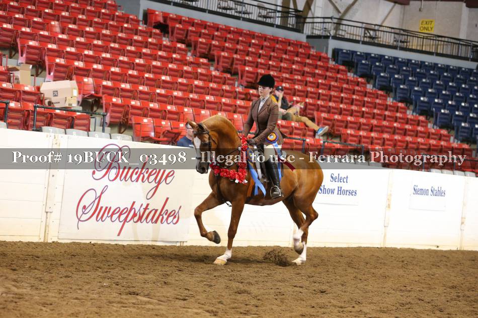 Proof 19BUCK_03498