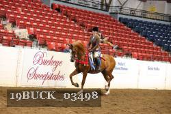 19BUCK_03498 proof