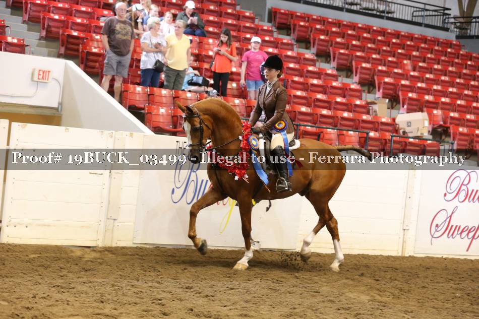 Proof 19BUCK_03499