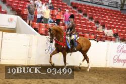 19BUCK_03499 proof