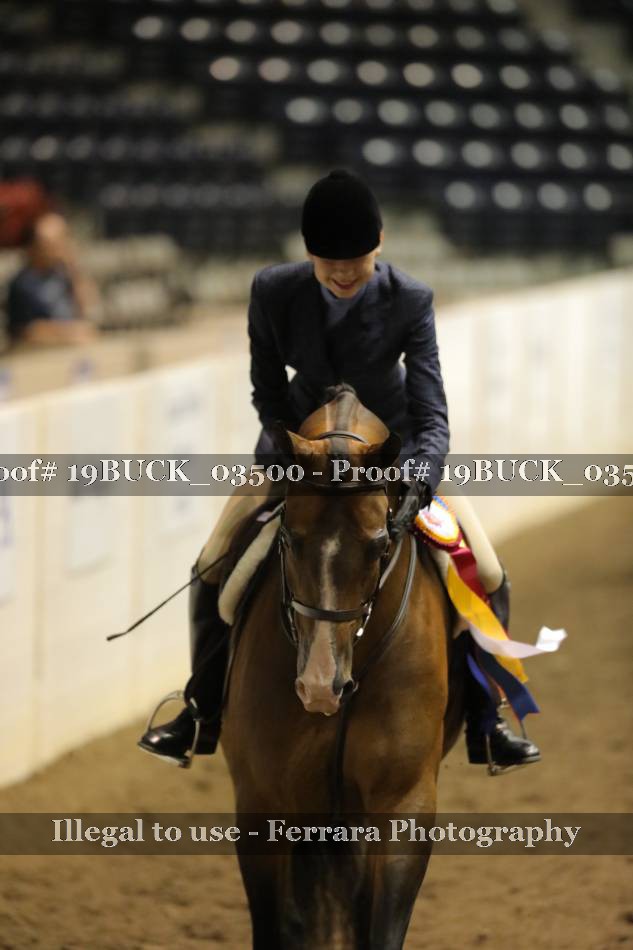 Proof 19BUCK_03500