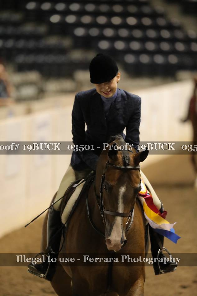 Proof 19BUCK_03501