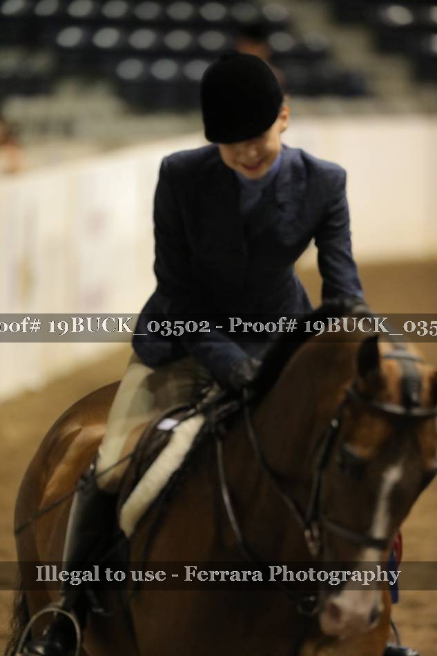 Proof 19BUCK_03502
