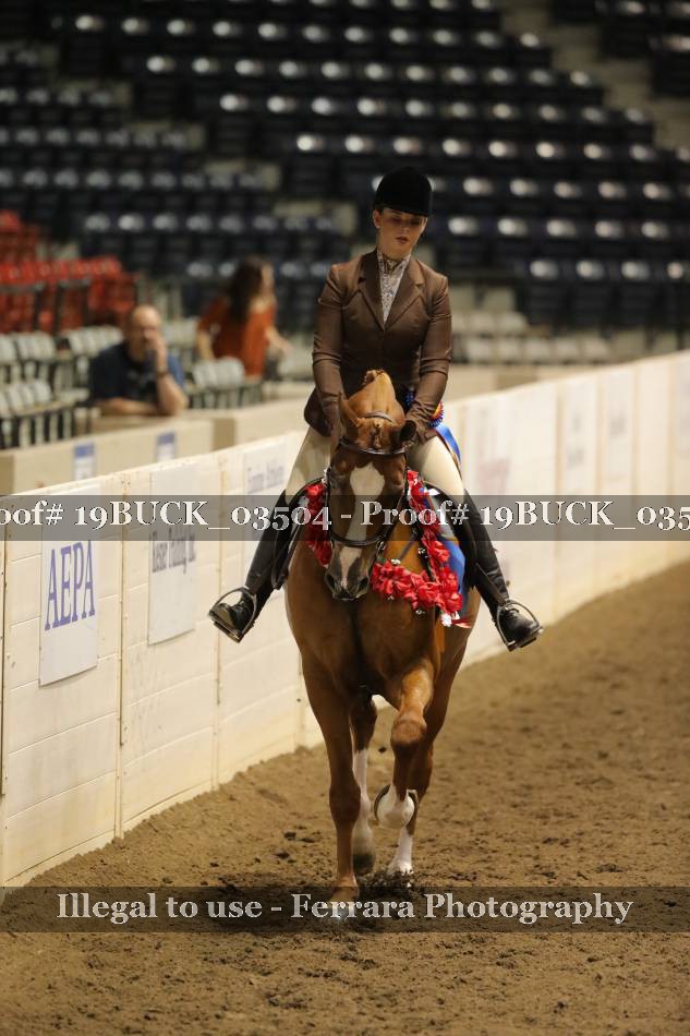 Proof 19BUCK_03504
