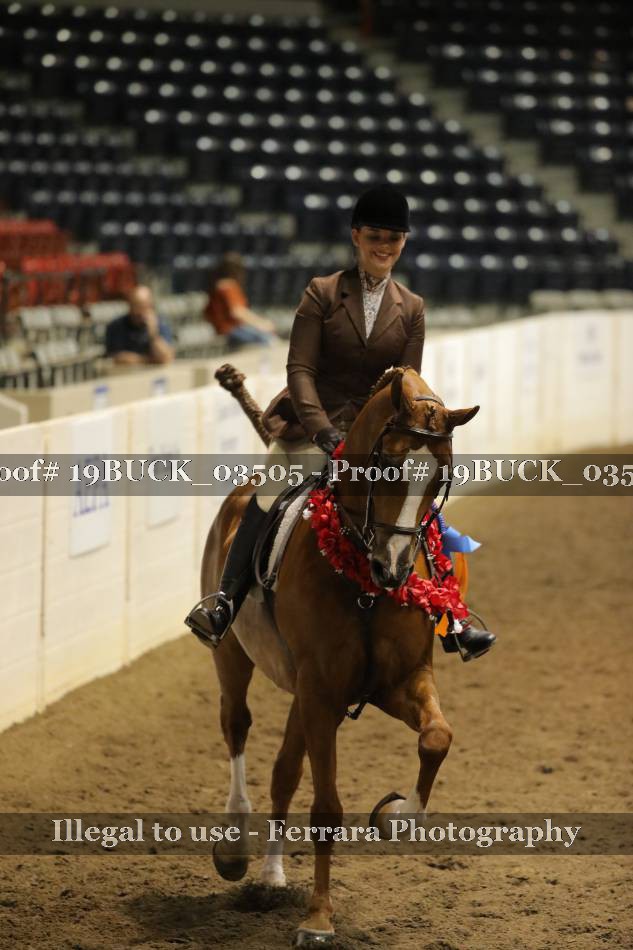 Proof 19BUCK_03505