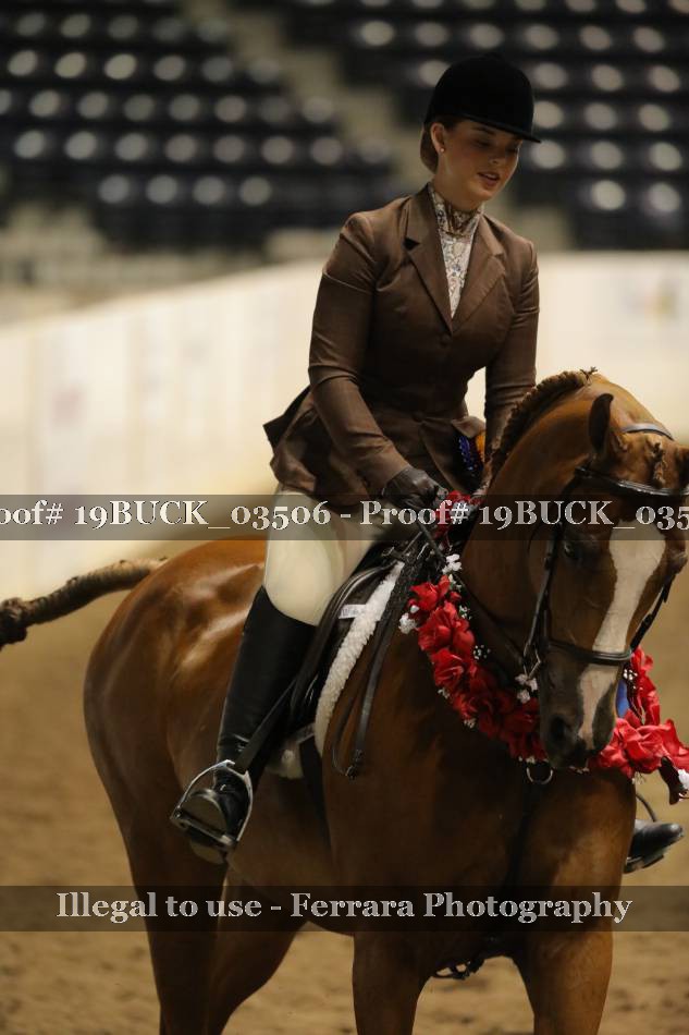 Proof 19BUCK_03506