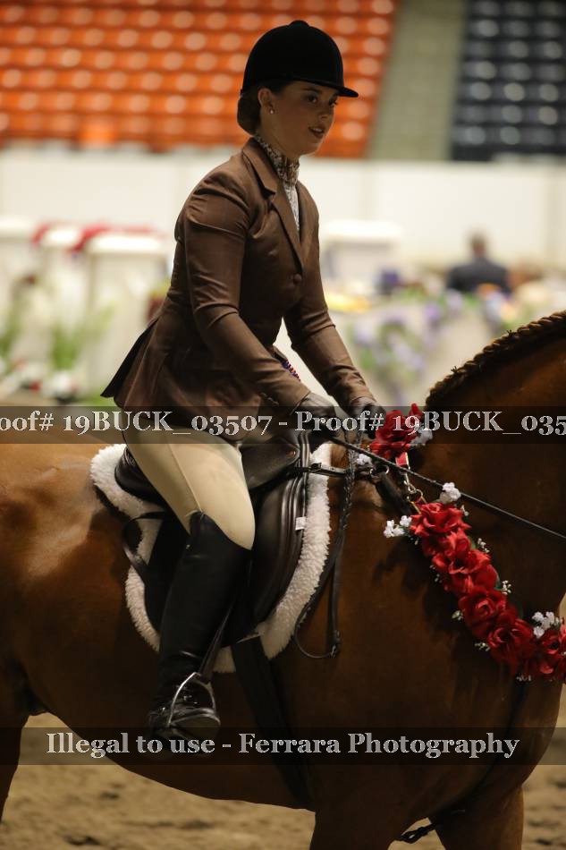 Proof 19BUCK_03507