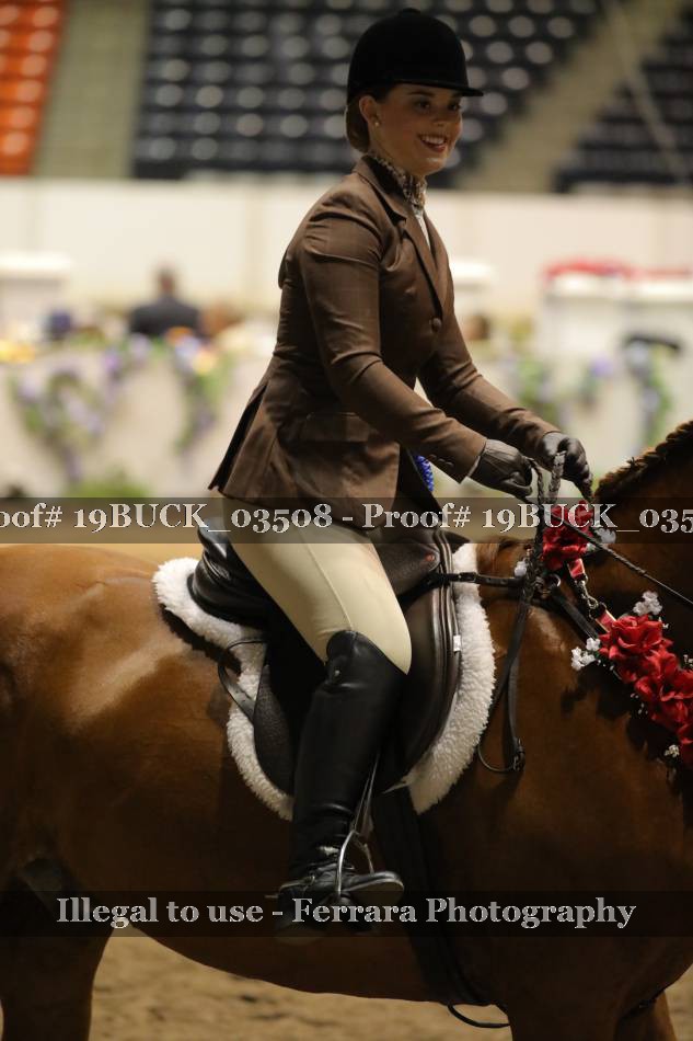 Proof 19BUCK_03508