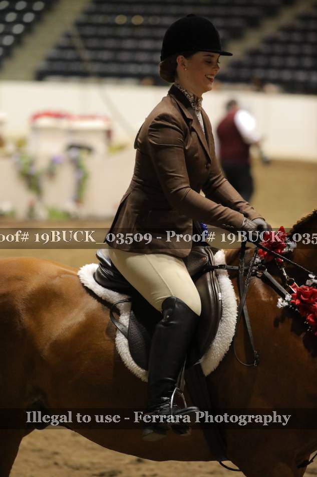 Proof 19BUCK_03509