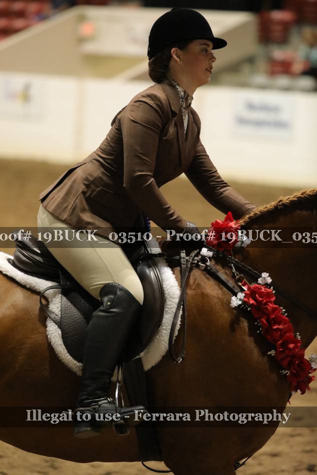 Proof 19BUCK_03510