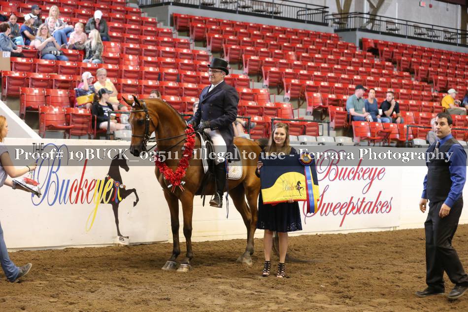 Proof 19BUCK_03511