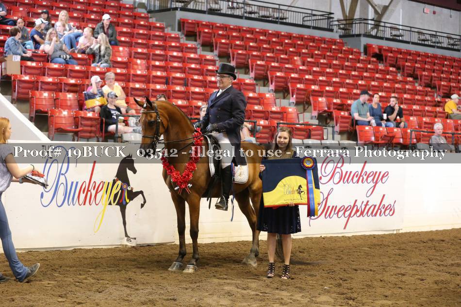 Proof 19BUCK_03512