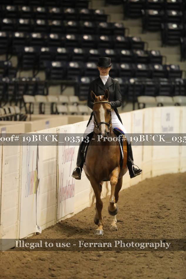 Proof 19BUCK_03513