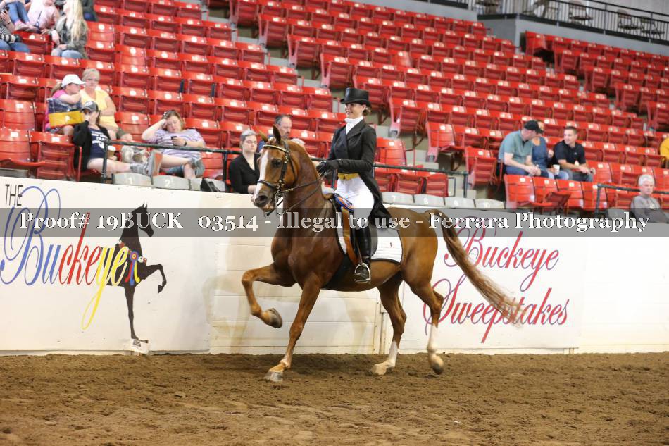 Proof 19BUCK_03514