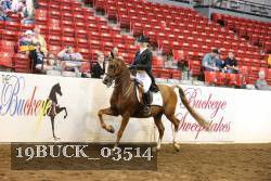 19BUCK_03514 proof