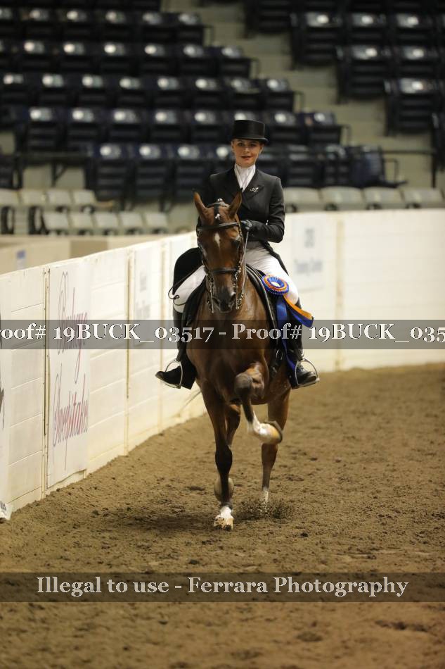 Proof 19BUCK_03517