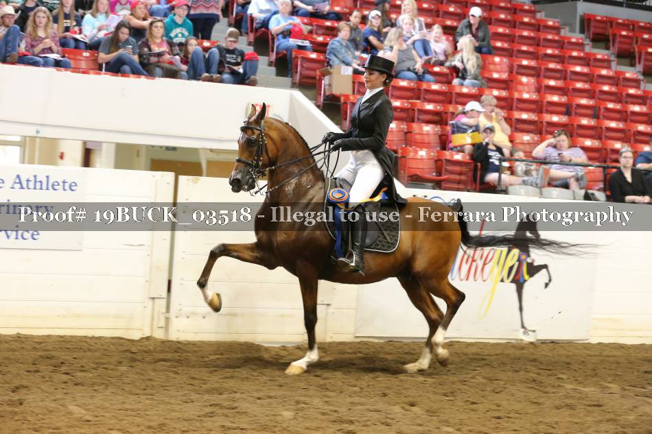 Proof 19BUCK_03518