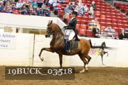 19BUCK_03518 proof