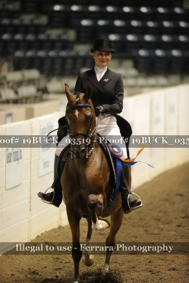 Proof 19BUCK_03519
