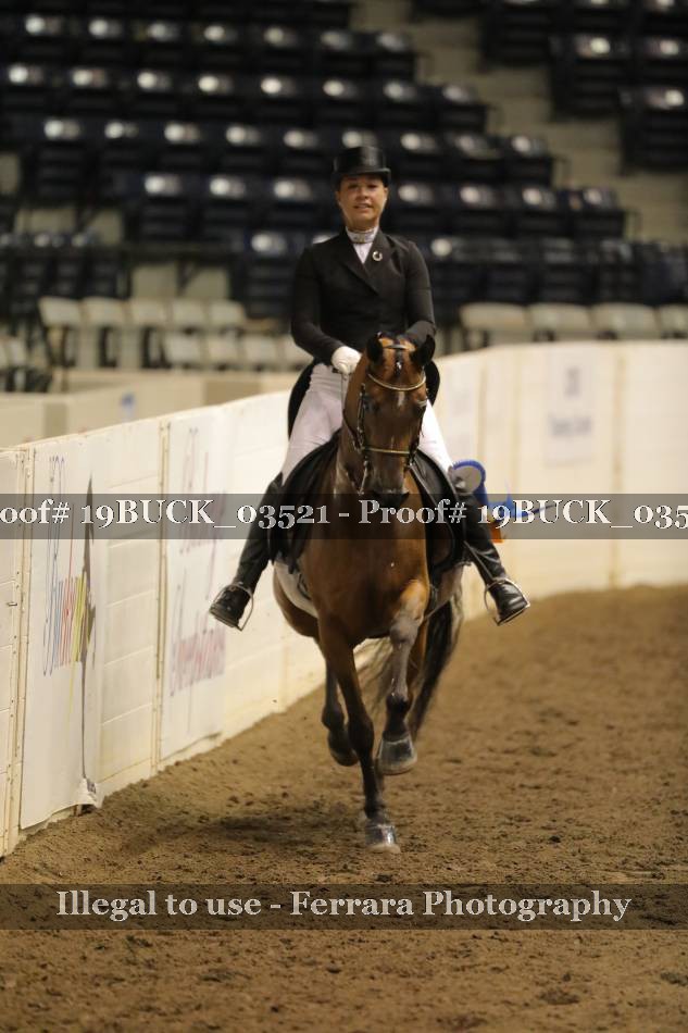 Proof 19BUCK_03521