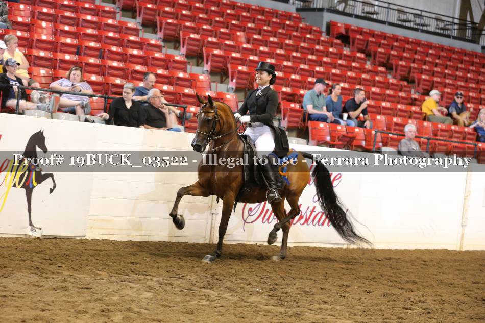 Proof 19BUCK_03522