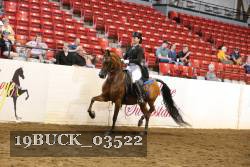 19BUCK_03522 proof