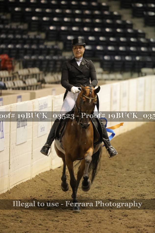 Proof 19BUCK_03523