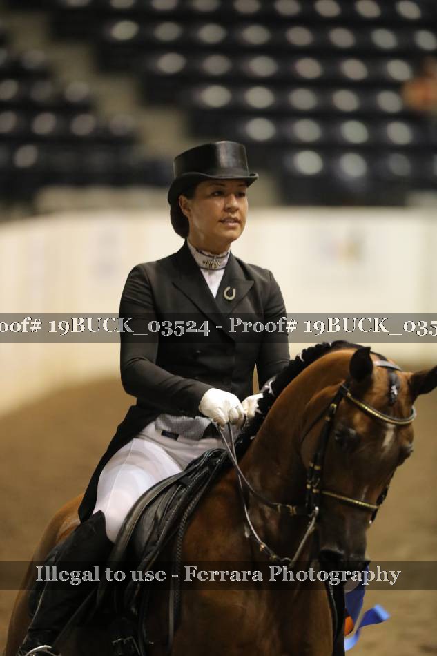Proof 19BUCK_03524