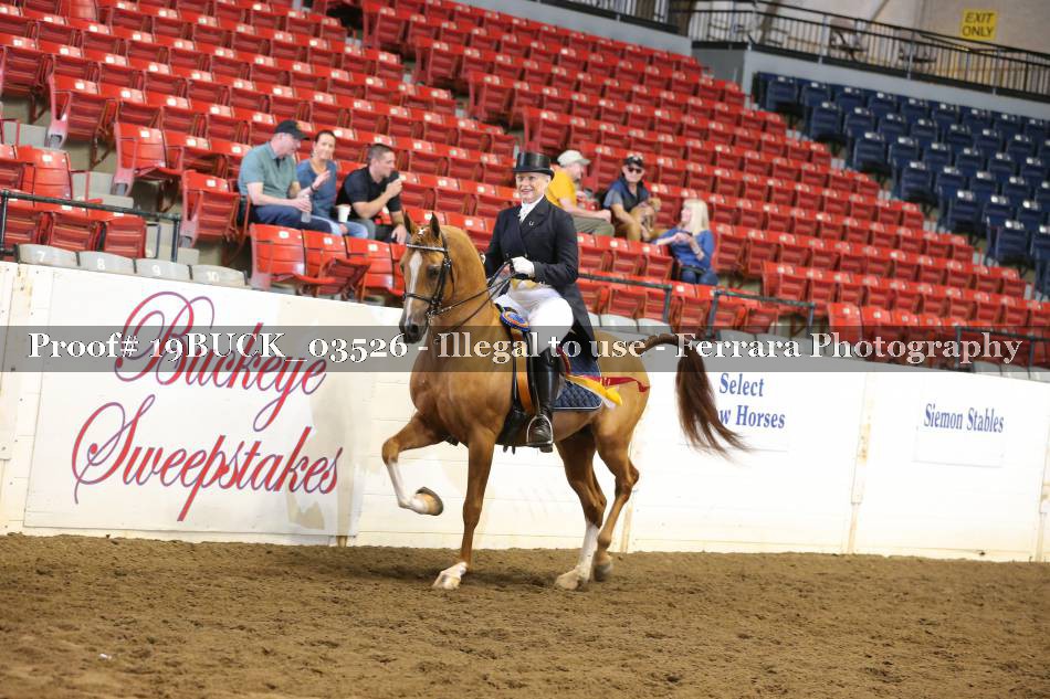Proof 19BUCK_03526