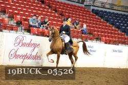 19BUCK_03526 proof