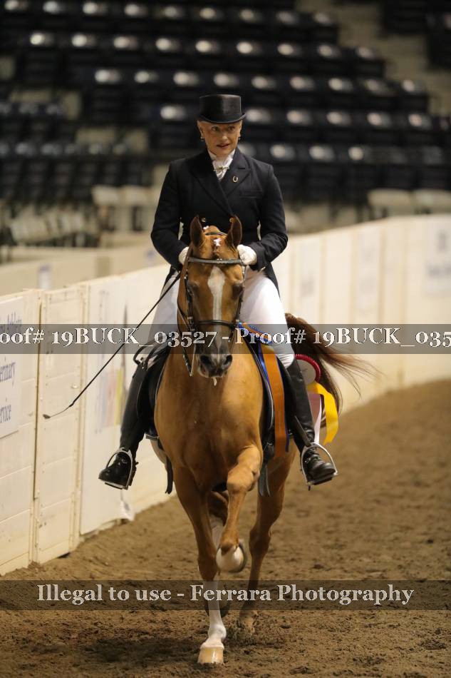 Proof 19BUCK_03527