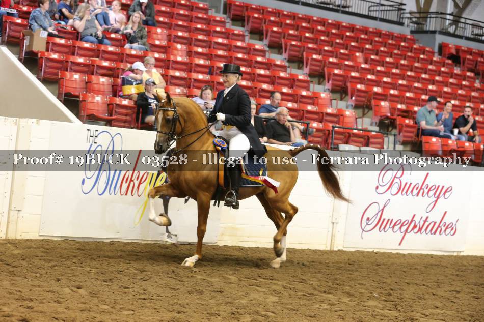 Proof 19BUCK_03528