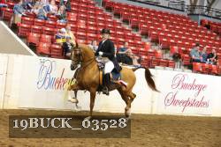 19BUCK_03528 proof
