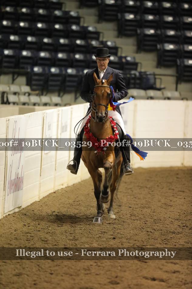 Proof 19BUCK_03529