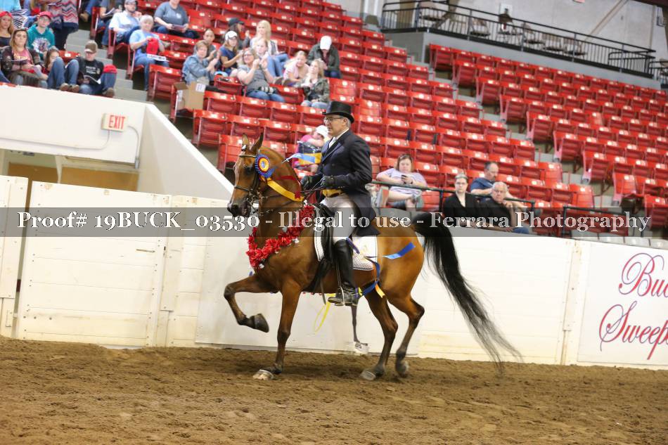 Proof 19BUCK_03530