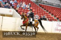 19BUCK_03530 proof