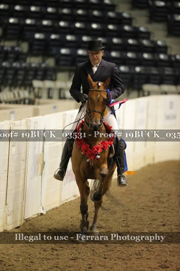 Proof 19BUCK_03531