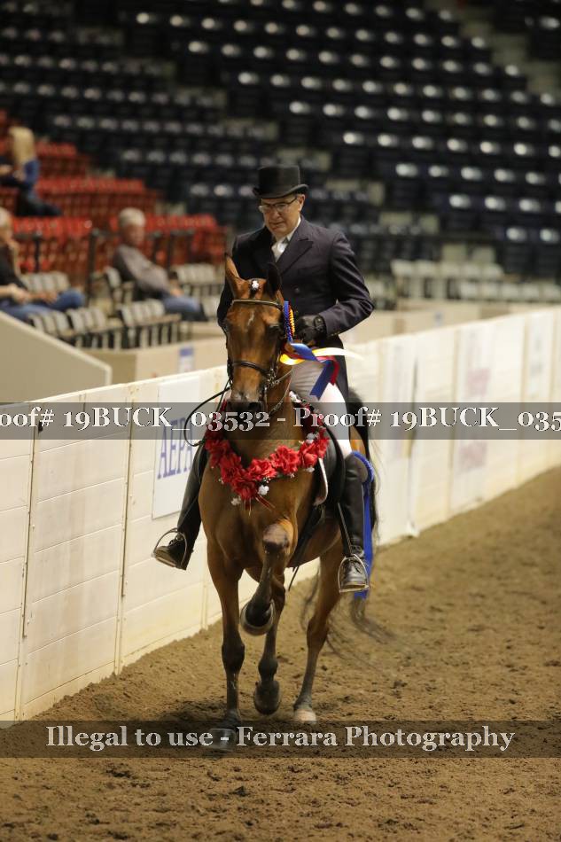 Proof 19BUCK_03532