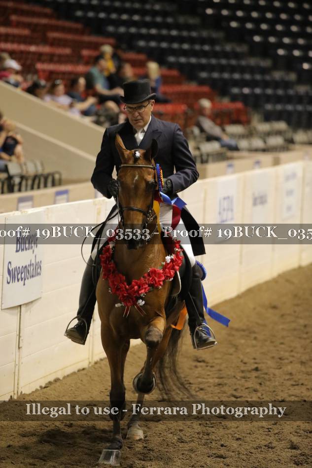 Proof 19BUCK_03533