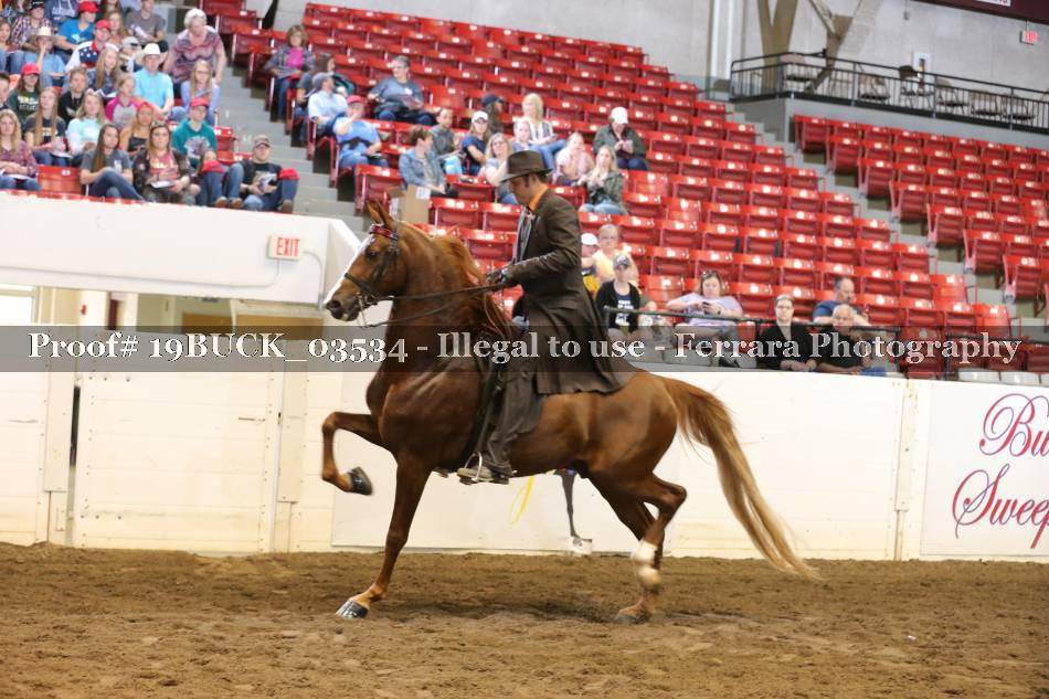 Proof 19BUCK_03534